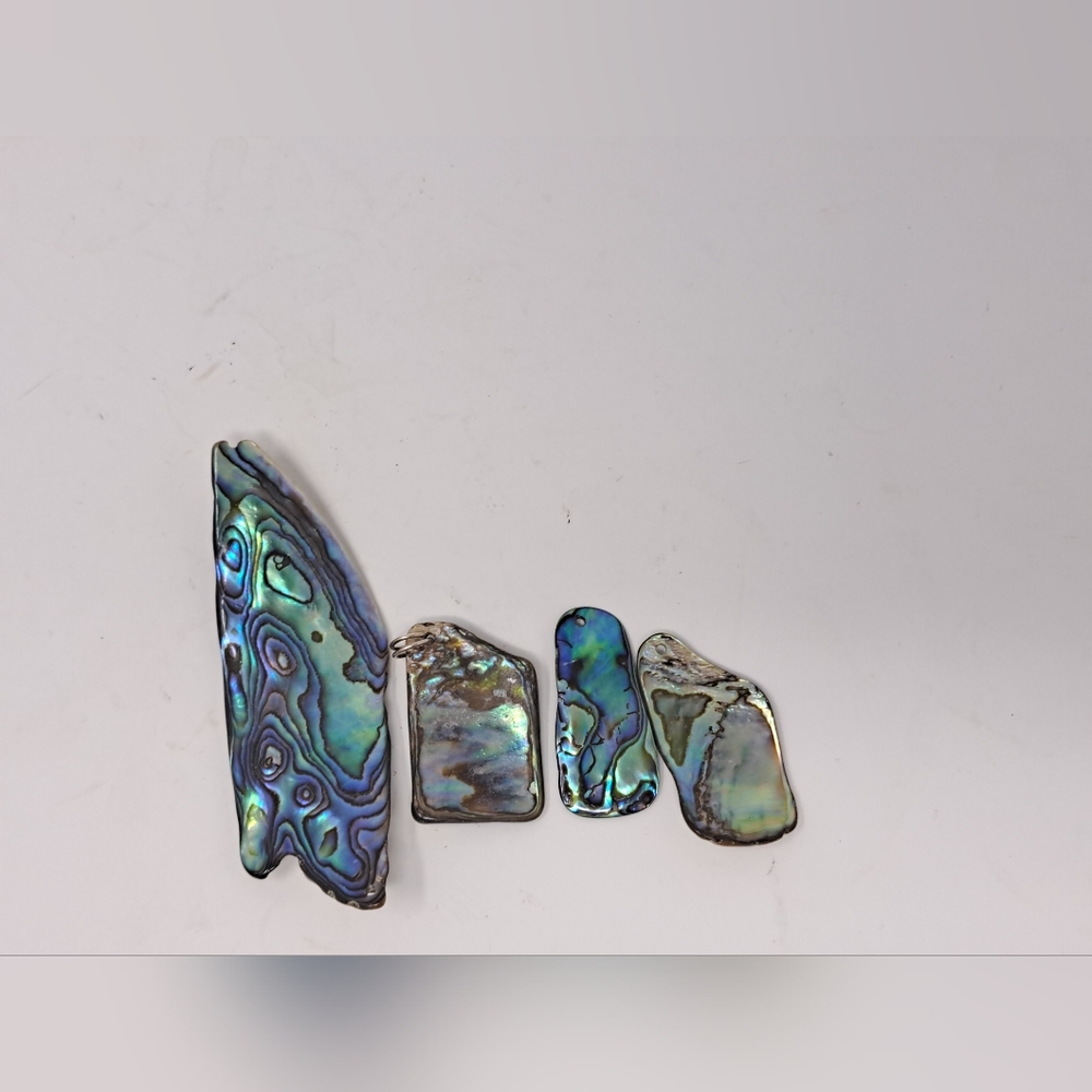Abalone Shell Peices